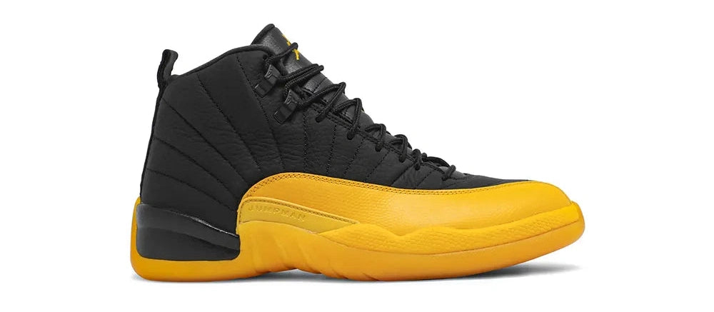 Air Jordan 12